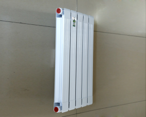 黄瓜小视频在线看